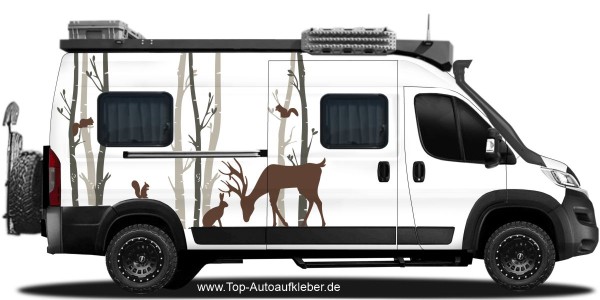 Camperaufkleber Birkenwald auf hellem Campervan