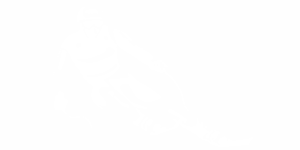 Preview: Camperdekor Ski