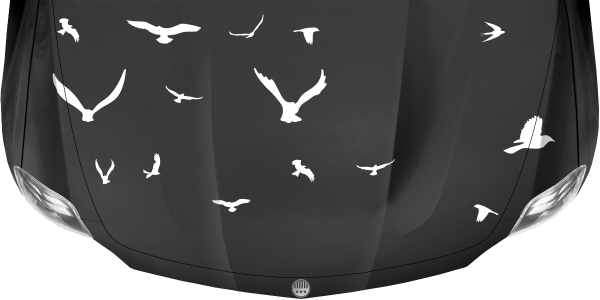 Preview: Caravanaufkleber Satz mit Vögeln auf dunkler Motorhaube - Ansicht Farbauswahl