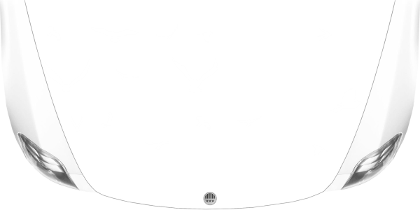 Preview: Caravanaufkleber Satz mit Vögeln auf heller Motorhaube - Ansicht Farbauswahl