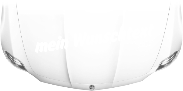 Autoaufkleber Wunschtext | 13