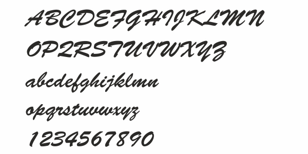 Preview: Carsticker Motorhaube Wunschtext Nr. 8