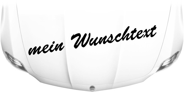 Autoaufkleber Wunschtext | 9