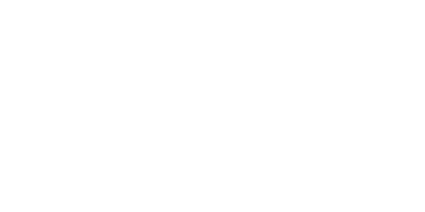 Preview: Flammendekor Pferd | Set für beide Fahrzeugseiten