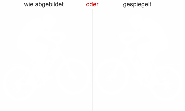 Preview: Auto Front Aufkleber MTB