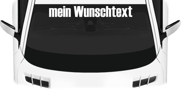 Preview: Heckscheibenaufkleber Wunschtext | 28