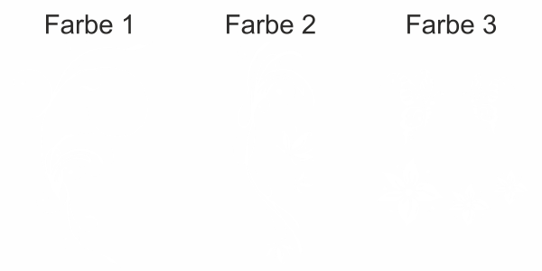 Preview: Klebefolie für die Heckscheibe mit Ornament und Schmetterlingen - Ansicht Farbauswahl