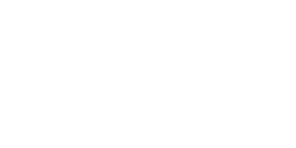 Heckscheibentattoo Tiger Tribal