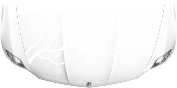 Preview: Motorhaubenaufkleber Ast Preview: Motorhaubenaufkleber Ast