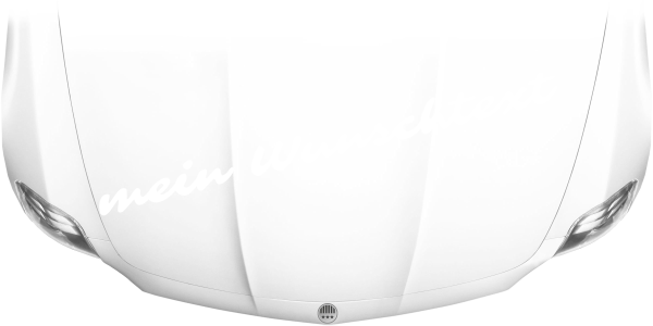 Autoaufkleber Wunschtext | 8