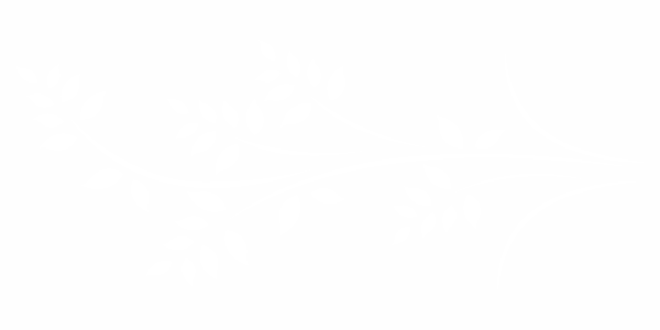 Motorhaubenaufkleber Blätterzweig