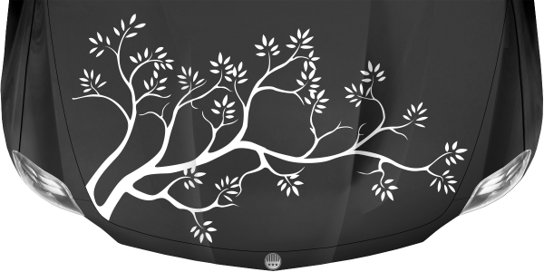 Preview: Motorhaubenaufkleber Ast Preview: Motorhaubenaufkleber Ast