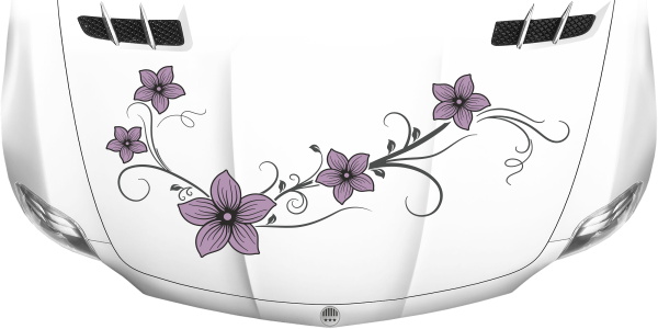 Preview: Motorhaubenaufkleber Blumenranke