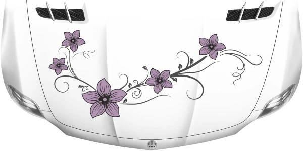 Motorhaubenaufkleber Blumenranke auf heller Motorhaube