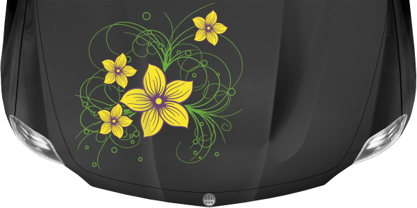 Preview: Autoaufkleber Motorhaube Blumenranke