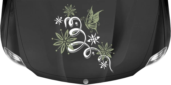 Bunter Motorhaubenaufkleber mit Ranke und Schmetterling