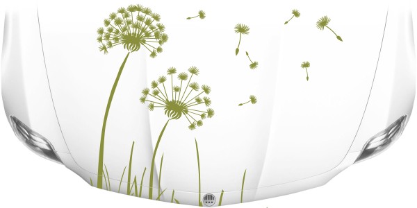 Autoaufkleber für die Motorhaube mit Pusteblume