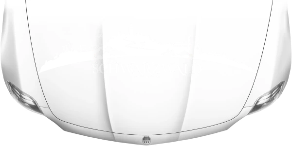 Motorhaubenaufkleber Skyline Schwarzwald auf heller Motorhaube - Ansicht Farbauswahl