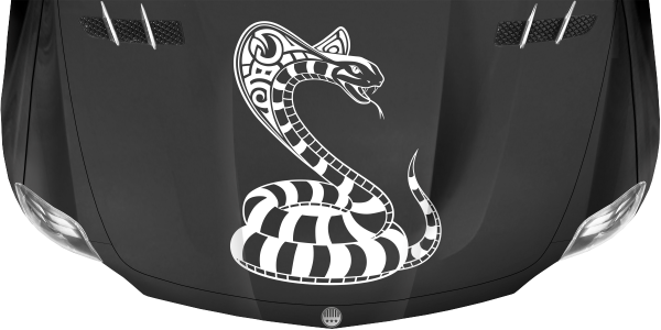 Preview: Autoaufkleber Viper