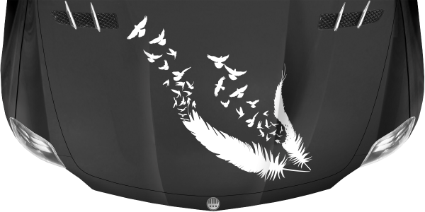 Preview: Motorhaubenaufkleber Vögel aus Feder