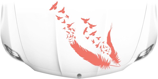 Auto tattoo motorhaube