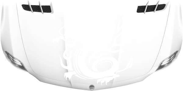 Preview: Motorhaubenaufkleber Drache Fluitare