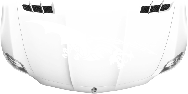 Preview: Autoaufkleber Motorhaube Gardorath Preview: Autoaufkleber Motorhaube Gardorath