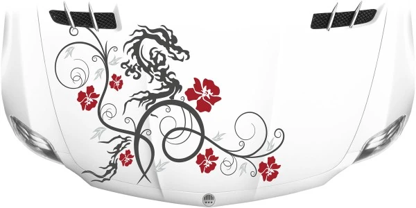 Aufkleber für die Motorhaube mit chinesischem Drachen und Blumenornament