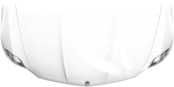 Preview: Motorhaubenaufkleber Vögel aus Feder