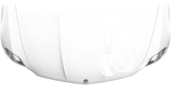 Preview: Autoaufkleber Motorhaube Wave Rider Preview: Autoaufkleber Motorhaube Wave Rider