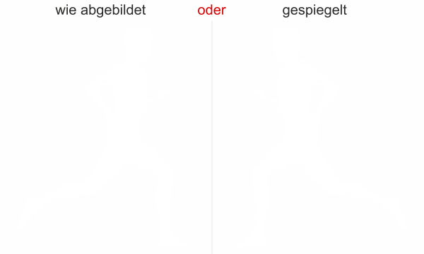 Preview: Autoaufkleber Motorhaube Laufen