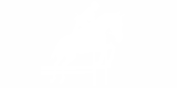 Preview: Pferdeaufkleber-Dressurreiten