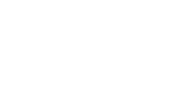 Autosticker mit dem Kopf eines Wolfes in geometrischer Optik