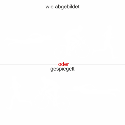 Preview: Triathlonaufkleber Heckscheibe