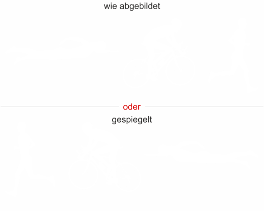 Preview: Triathlonaufkleber Motorhaube