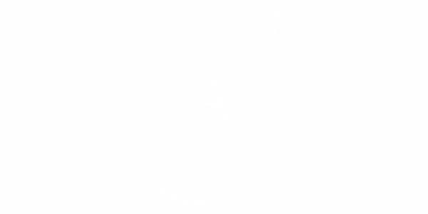 Preview: Wohnmobilaufkleber Anker aus Vogelschwarm