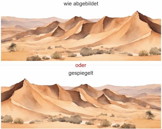 Wohnmobil Aufkleber Wüstenlandschaft - Ansicht Ausrichtung