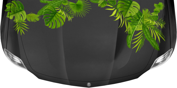 Preview: chungel Pflanzen als XXL Set für das Fahrzeug auf dunkler Motorhaube