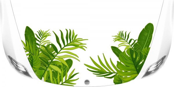 Preview: chungel Pflanzen als XXL Set für das Fahrzeug auf heller Motorhaube