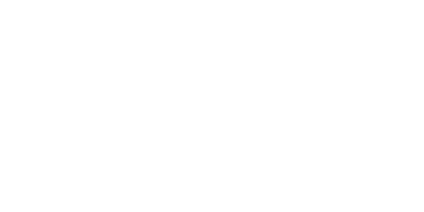 Preview: Wohnmobilaufkleber Echse