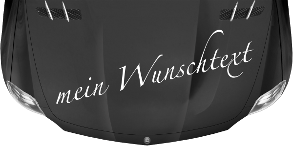 Preview: Wohnmobilaufkleber Wunschtext | 1