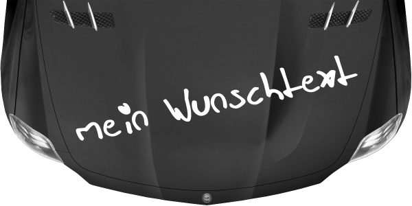 Preview: Wohnmobilaufkleber Wunschtext | 12