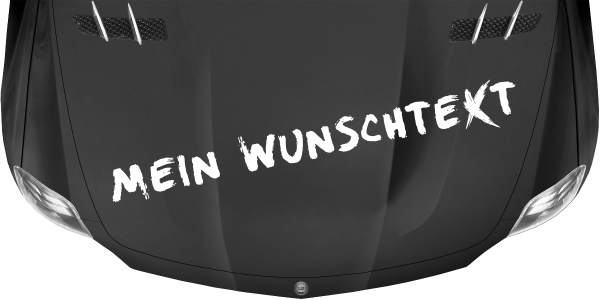 Preview: Wohnmobilaufkleber Wunschtext | 14