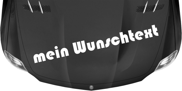 Preview: Wohnmobilaufkleber Wunschtext | 19