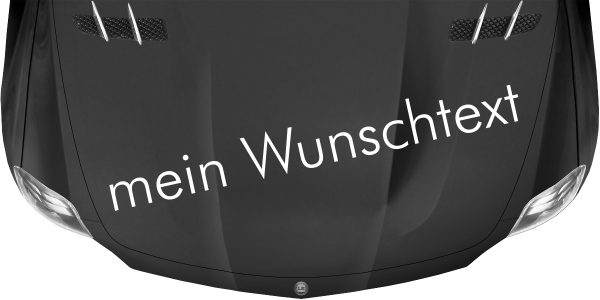 Preview: Wohnmobilaufkleber Wunschtext | 22