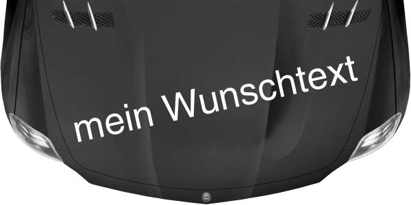 Preview: Wohnmobilaufkleber Wunschtext | 26