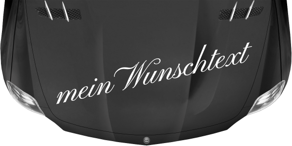 Preview: Wohnmobilaufkleber Wunschtext | 3