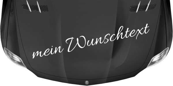 Preview: Wohnmobilaufkleber Wunschtext | 4