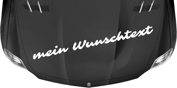 Preview: Wohnmobilaufkleber Wunschtext | 8