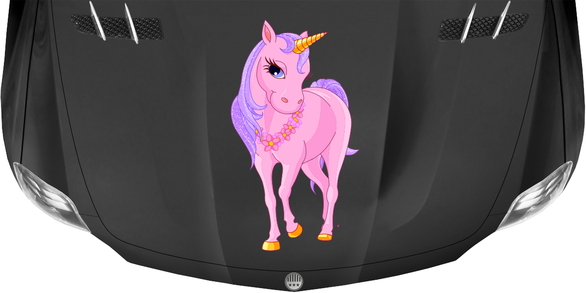 Einhorn Power Aufkleber Motorhaube Auto Sticker Glück Unicorn Star - Der  Dekor Aufkleber Shop
